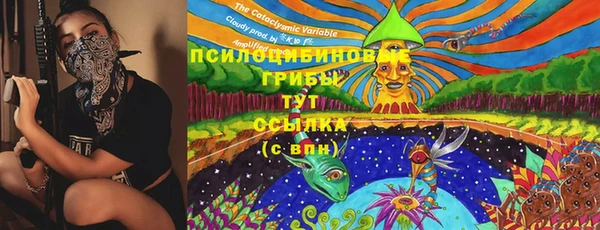 ПСИЛОЦИБИНОВЫЕ ГРИБЫ Верея