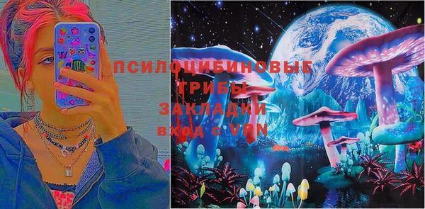 ПСИЛОЦИБИНОВЫЕ ГРИБЫ Верея