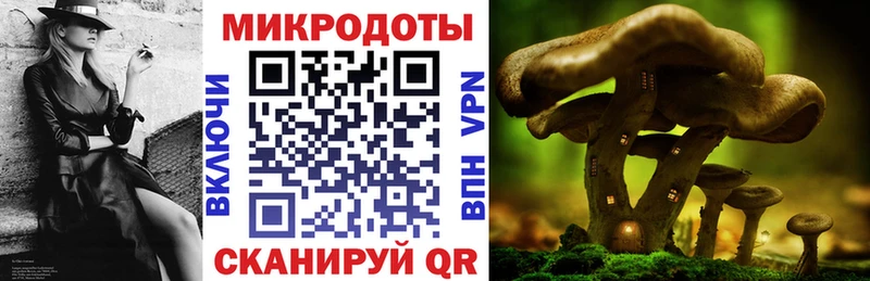наркотики  Кореновск  Псилоцибиновые грибы GOLDEN TEACHER 